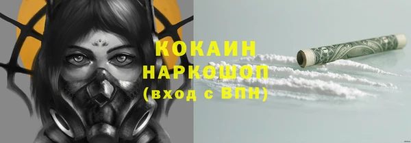 твердый Алексеевка