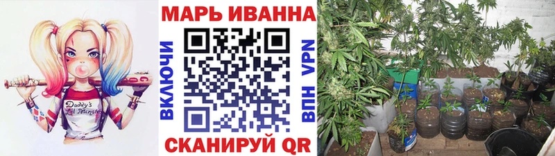 Канабис AK-47  blacksprut ссылки  Асино  цены наркотик 